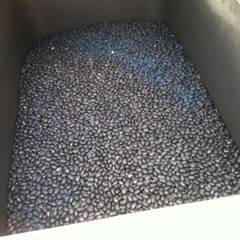 Planter bin filled with black bean seed.