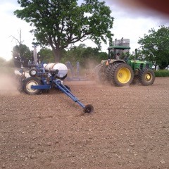 Colin Callan planting black bean seed at our Cameron Road lot,
